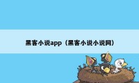 黑客小说app（黑客小说小说网）