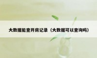 大数据能查开房记录（大数据可以查询吗）