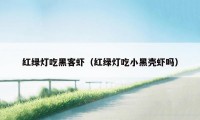 红绿灯吃黑客虾（红绿灯吃小黑壳虾吗）