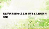 黑客系统漏洞什么意思啊（黑客怎么利用漏洞攻击）