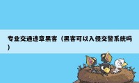 专业交通违章黑客（黑客可以入侵交警系统吗）